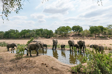 Timbavati Simbavati River Lodge Luxury Safari Tents Family Chalet Timbavati Game Reserve Mpumalanga Luxury South African